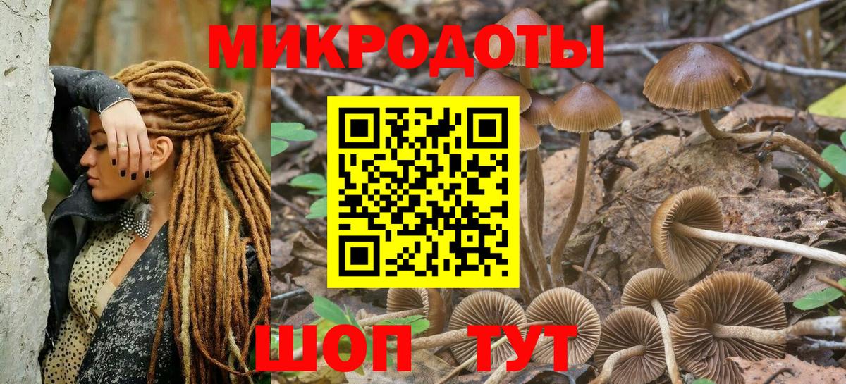 Кизилюрт  Псилоцибиновые грибы мухоморы  Вход с VPN 
