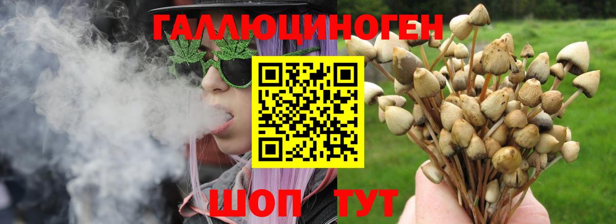 Галлюциногенные грибы Cubensis Кизилюрт