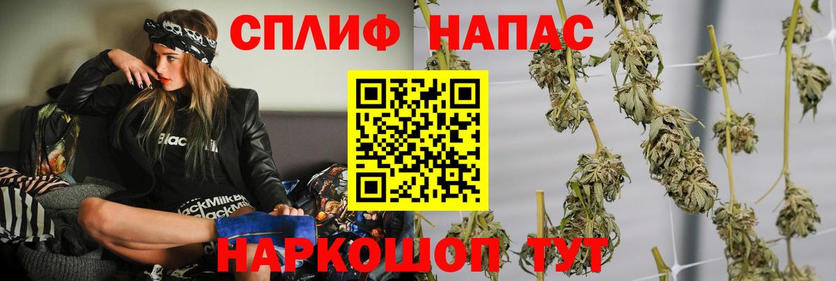 Марихуана Amnesia Кизилюрт